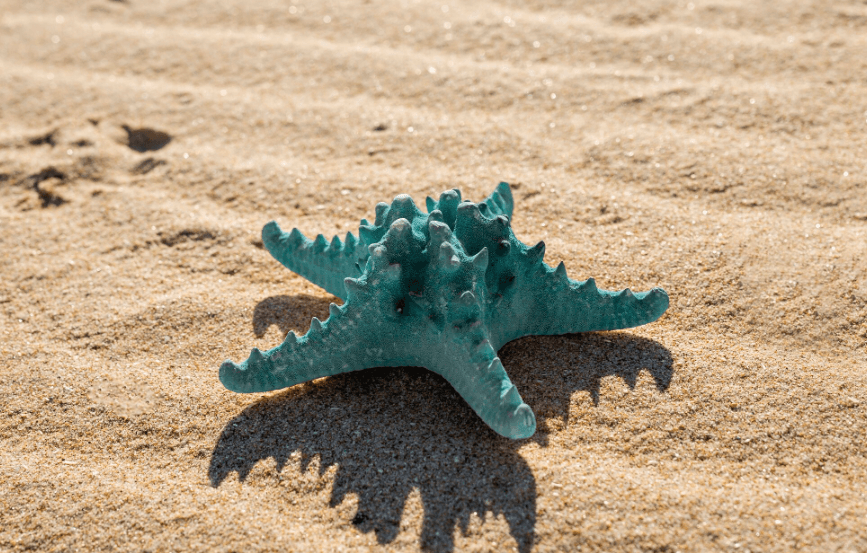 Summer Sculpture Walk